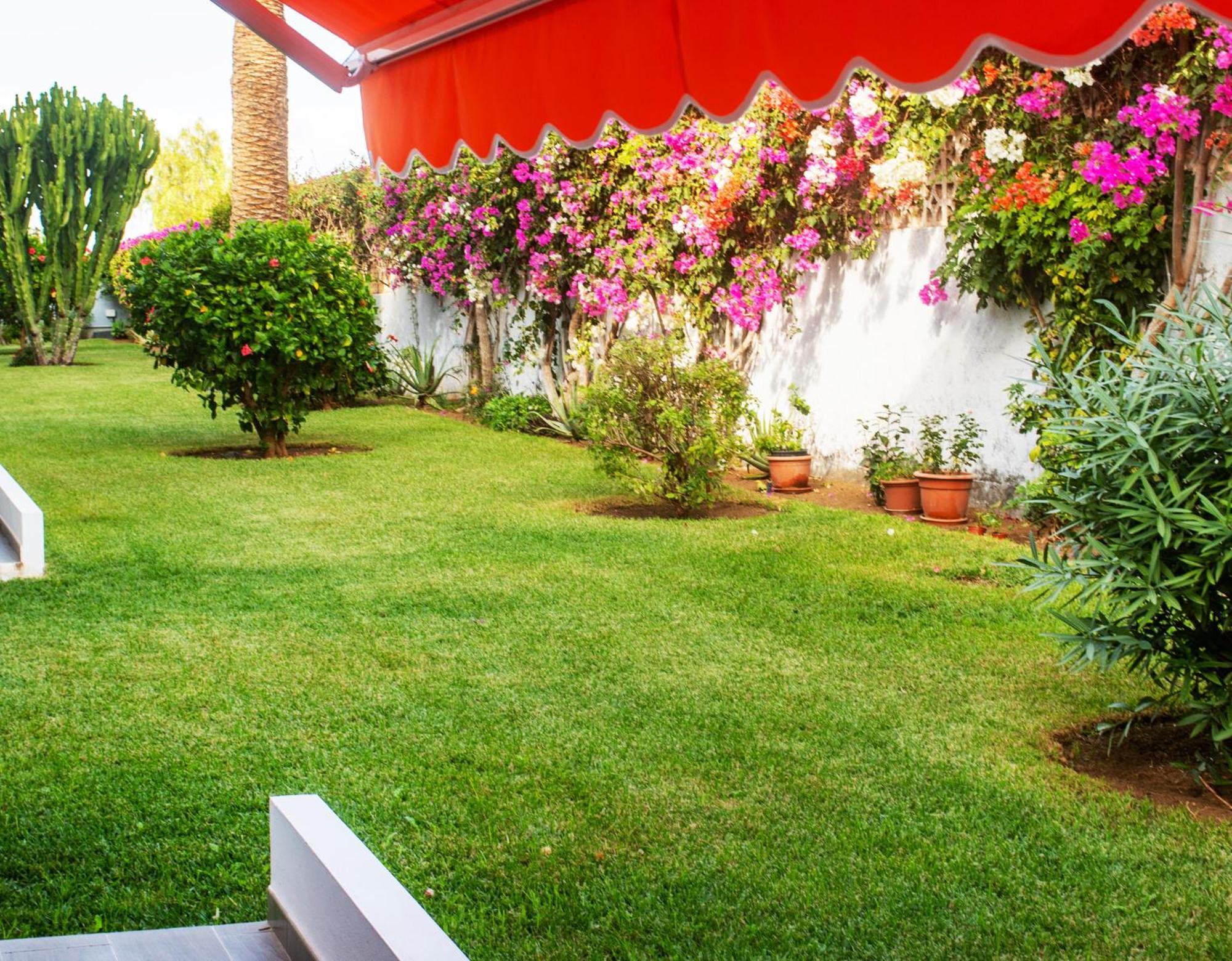 Casa Tranquila Lägenhet Puerto de la Cruz  Exteriör bild